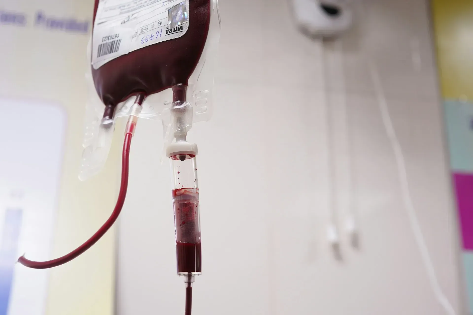 Porque é que faltam sempre certos tipos de sangue?